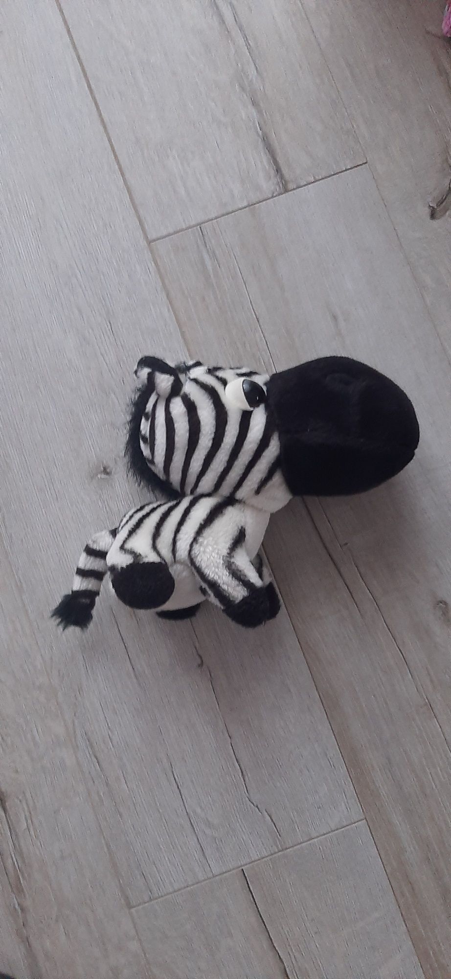Maskotka zebra dla dzieci