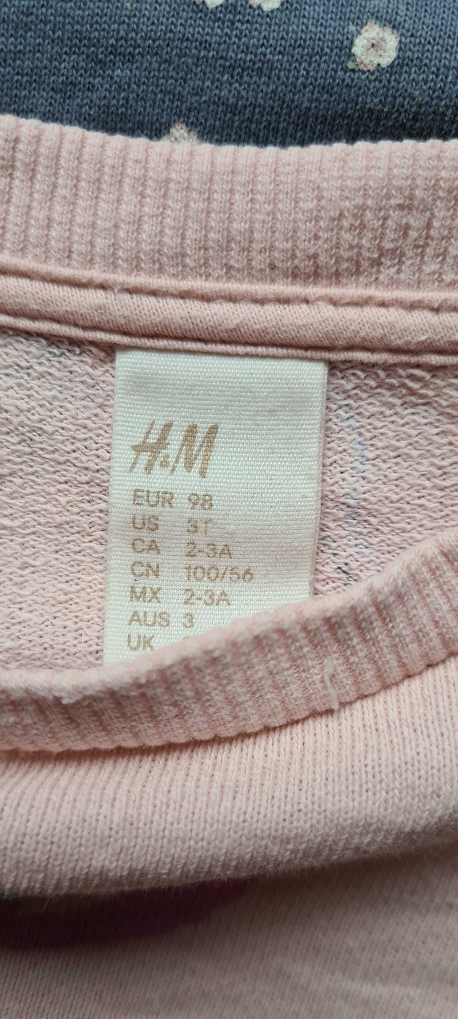 Bluza w kwiaty kotki kołnierzyk H&M rozmiar 98