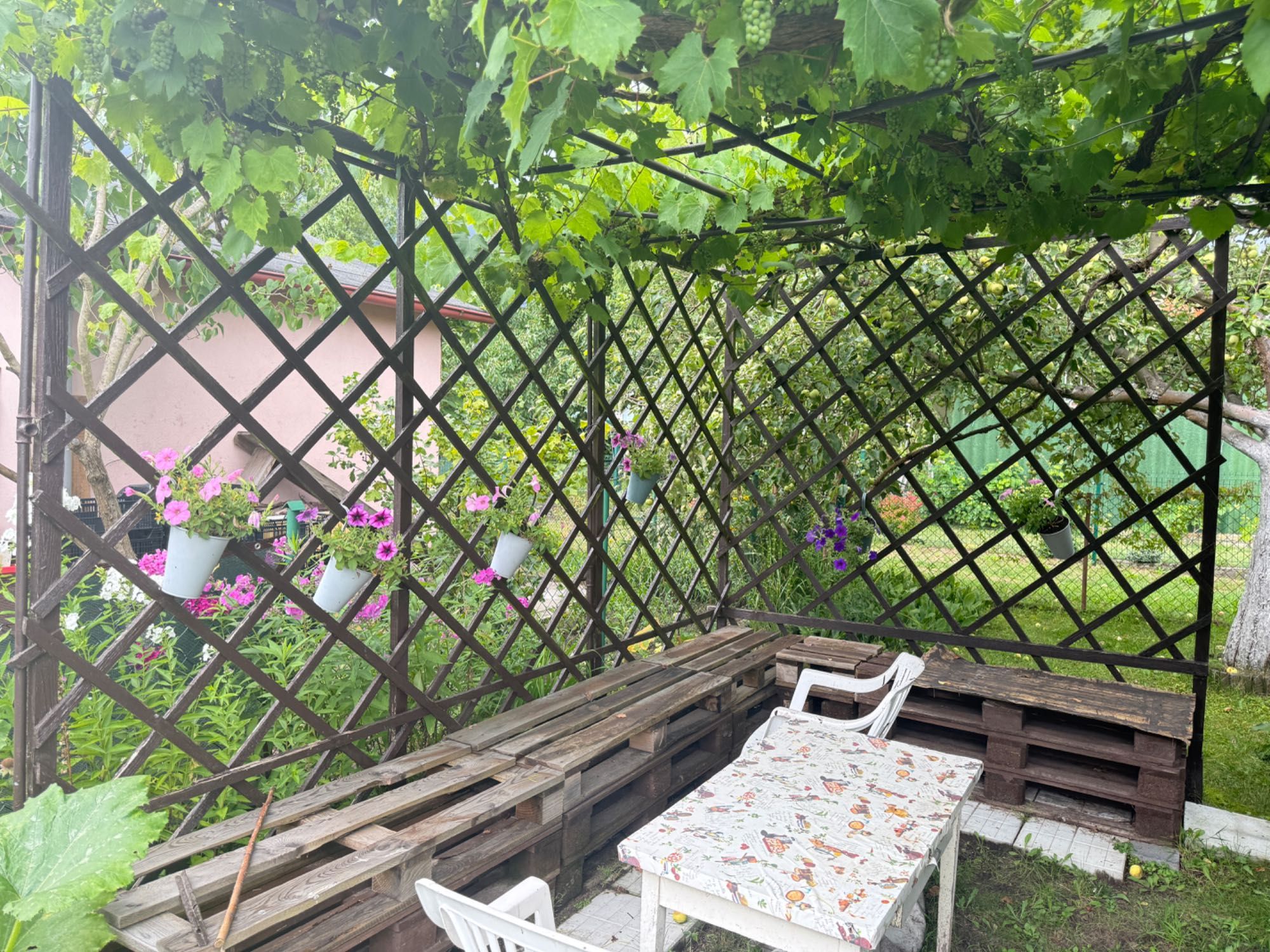 Piękna Działka ROD Jędrzychów „Grono”