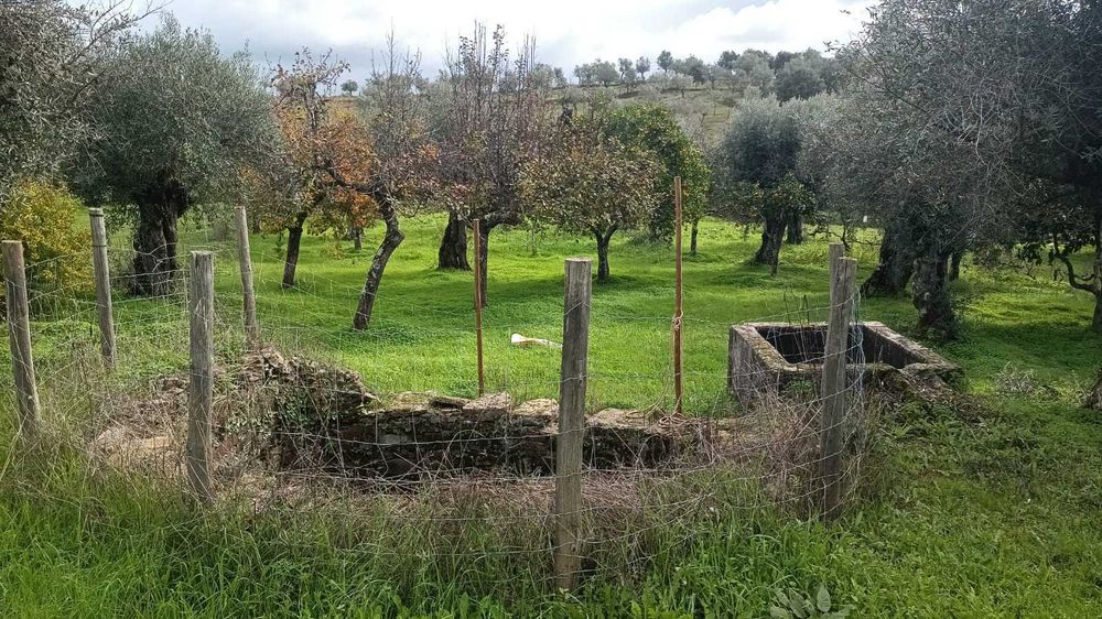 terreno rústico a venda