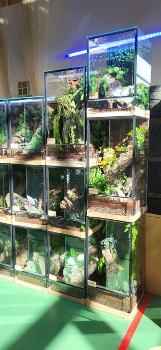 Terrarium na każdy wymiar z wystrojem. PRODUCENT WYSYŁKA