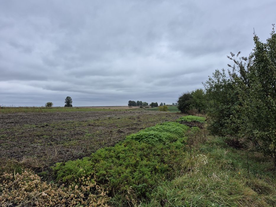 Продам будинов в селі Старому Острополі