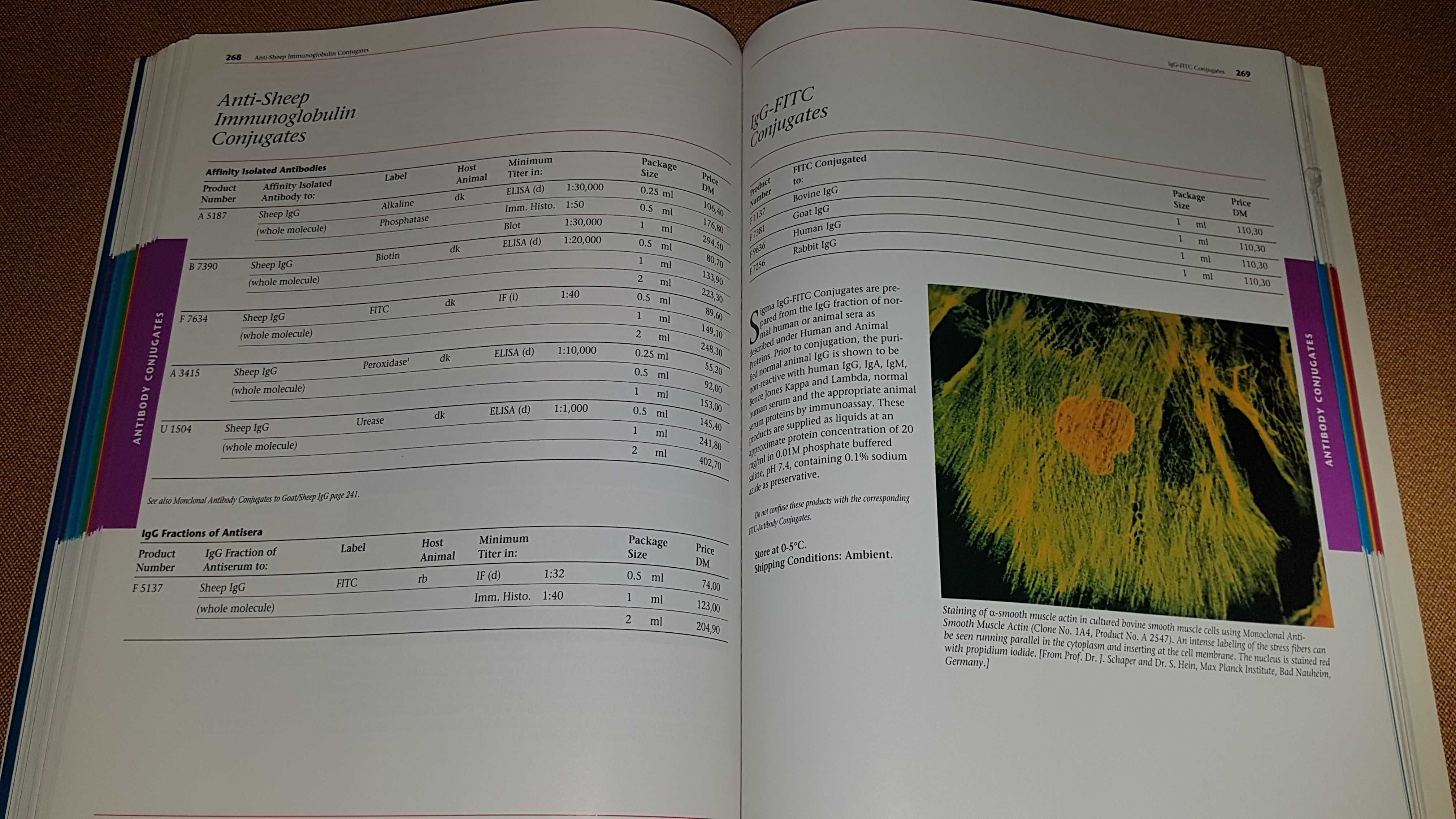 Sigma Immuno Chemicals - Catalogue 1995