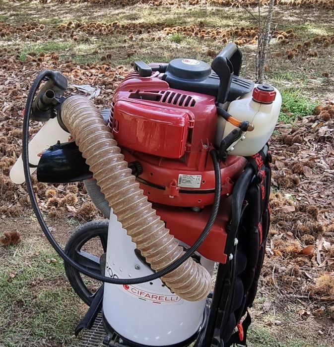 Cifarelli aspirador/máquina de apanhar castanha e outros