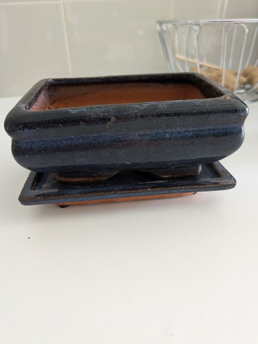 Vários vasos para plantas