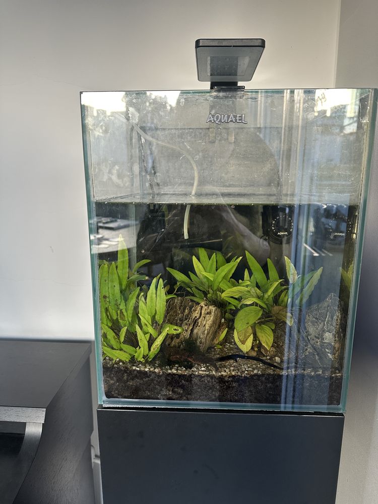 Akwarium Aquael Shrimp Set Day&Night 30 l, szafka i zawartosc