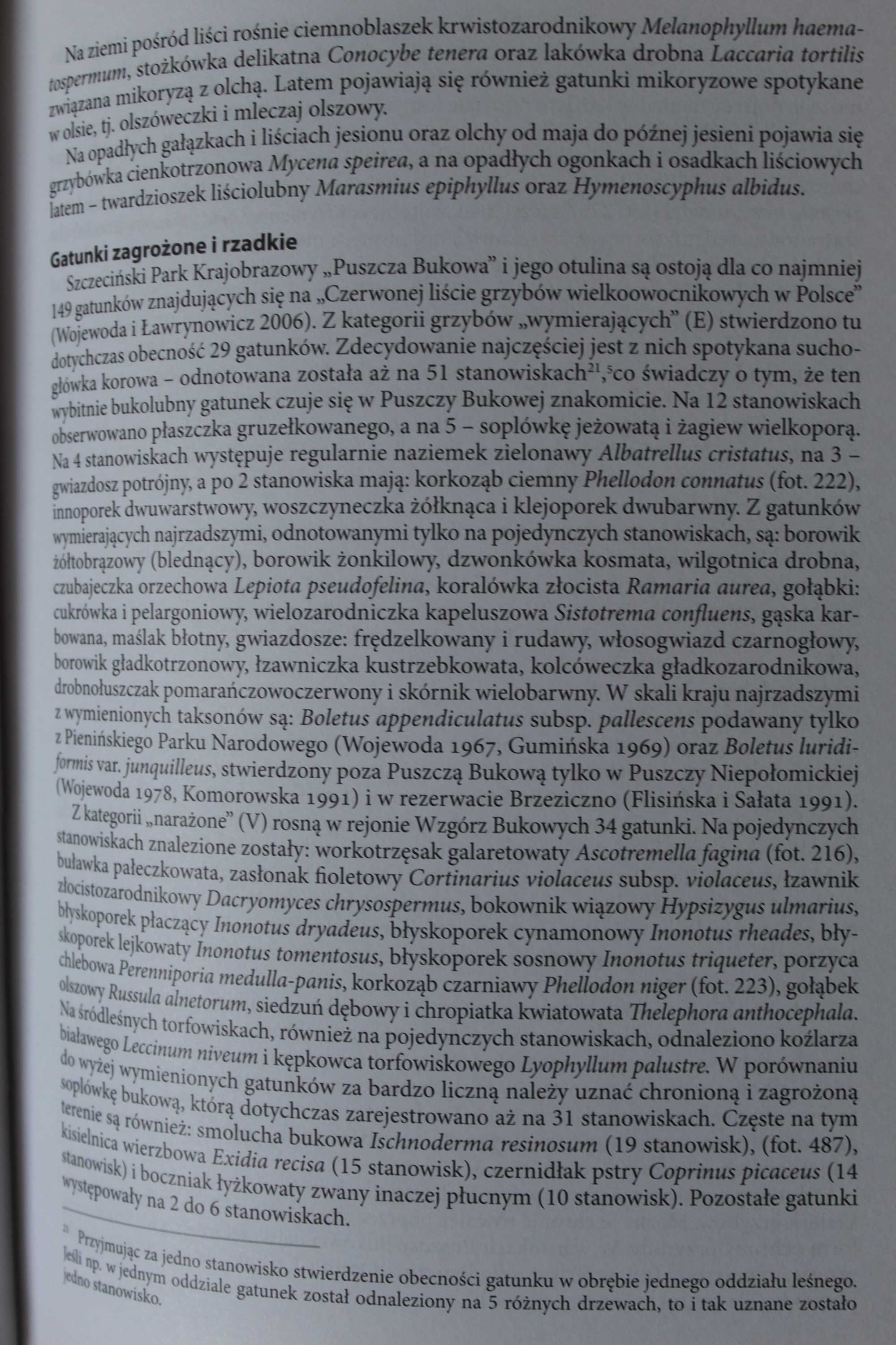 Księga Puszczy Bukowej