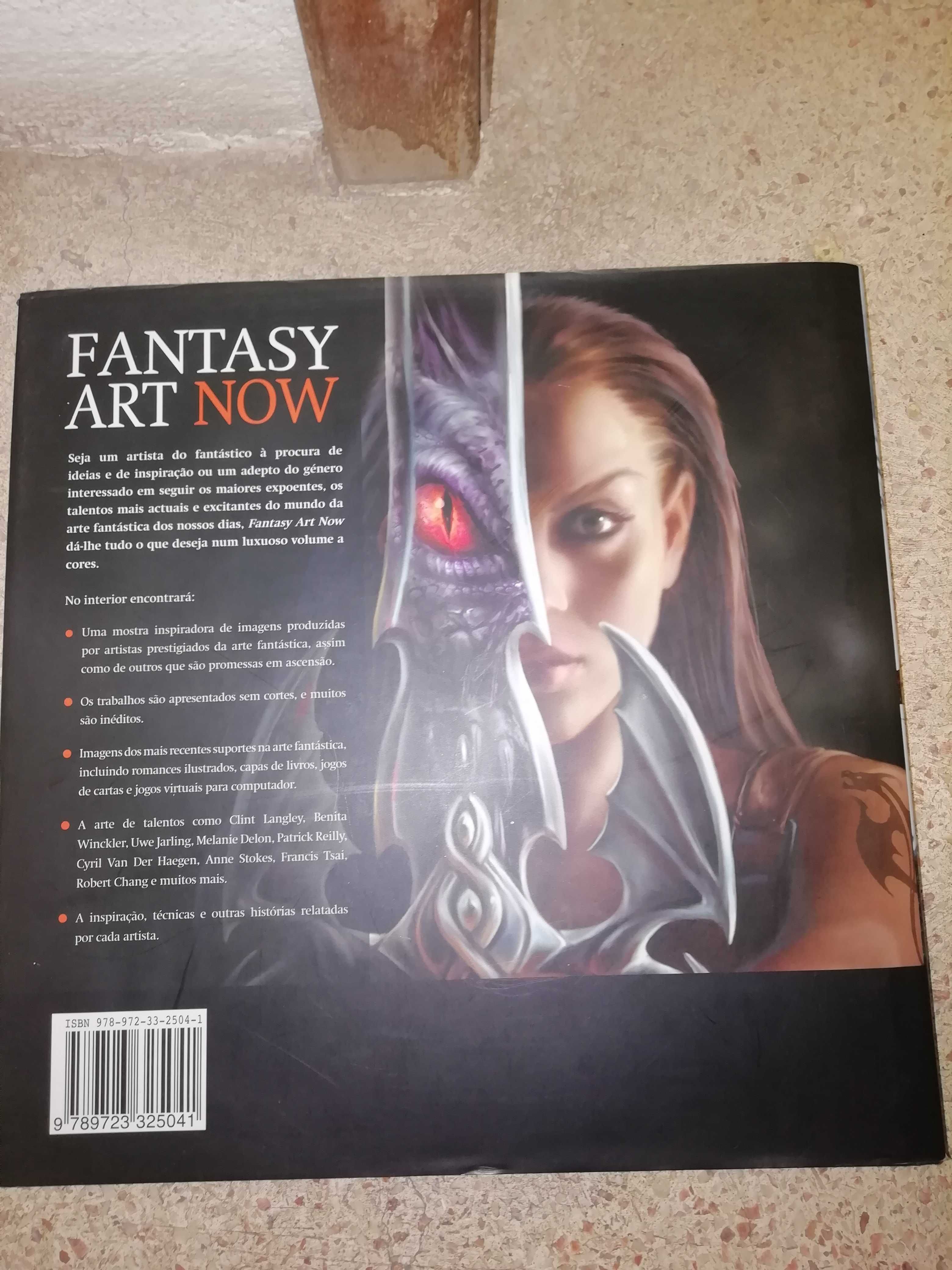 Livro - fantasy art now