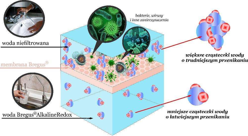 Bregus® System odwróconej osmozy Alkaline Redox !
