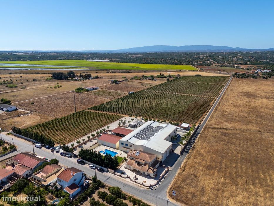 Herdade Vitivinícola de Excelência no Coração do Algarve