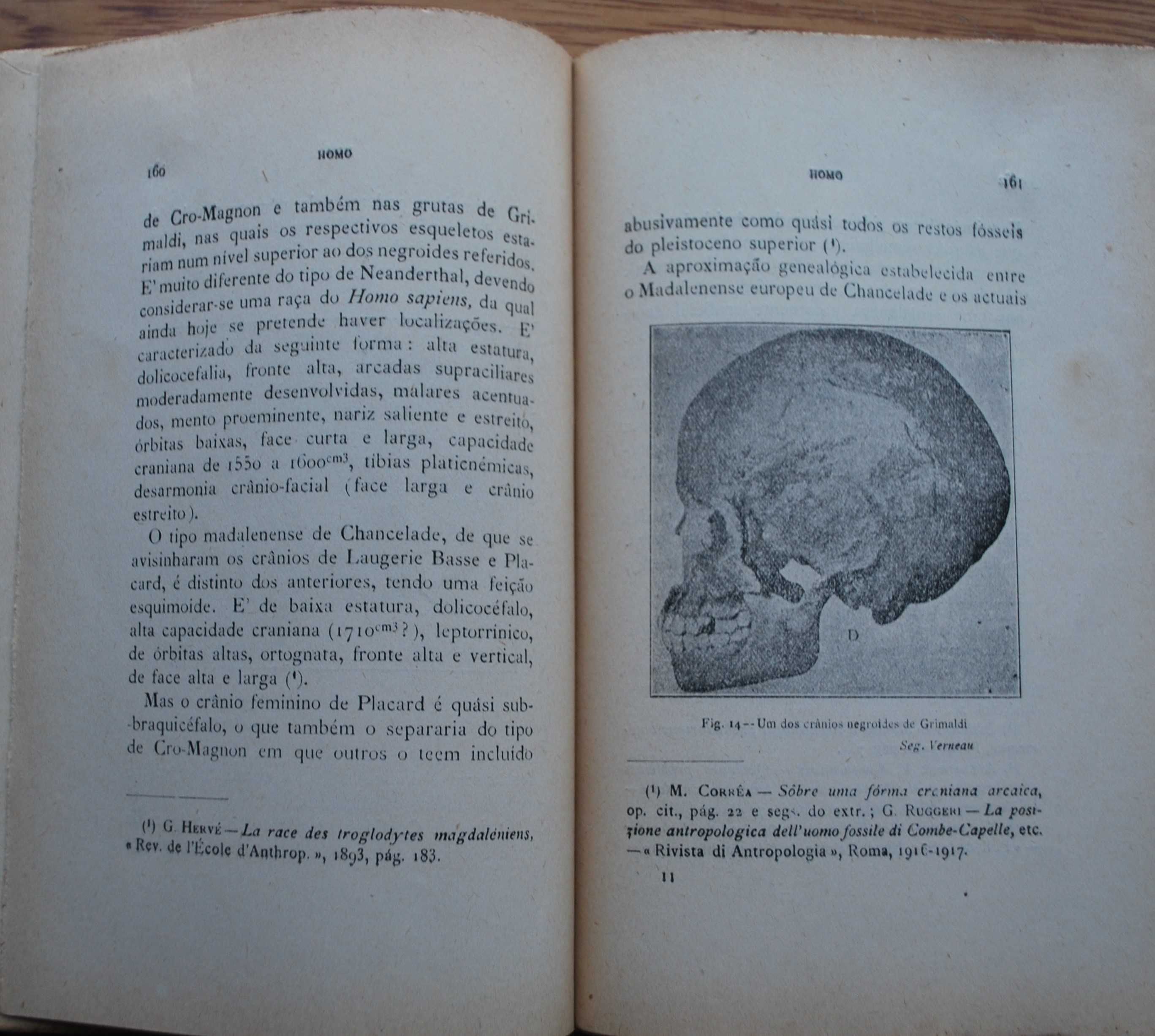 Homo (Os Modernos Estudos Sobre A Origem do Homem) - 1º Edição 1921