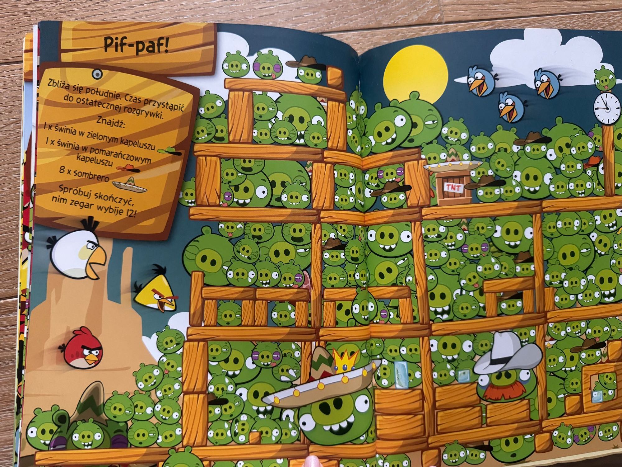 Książka Angry Birds - Poszukaj nas