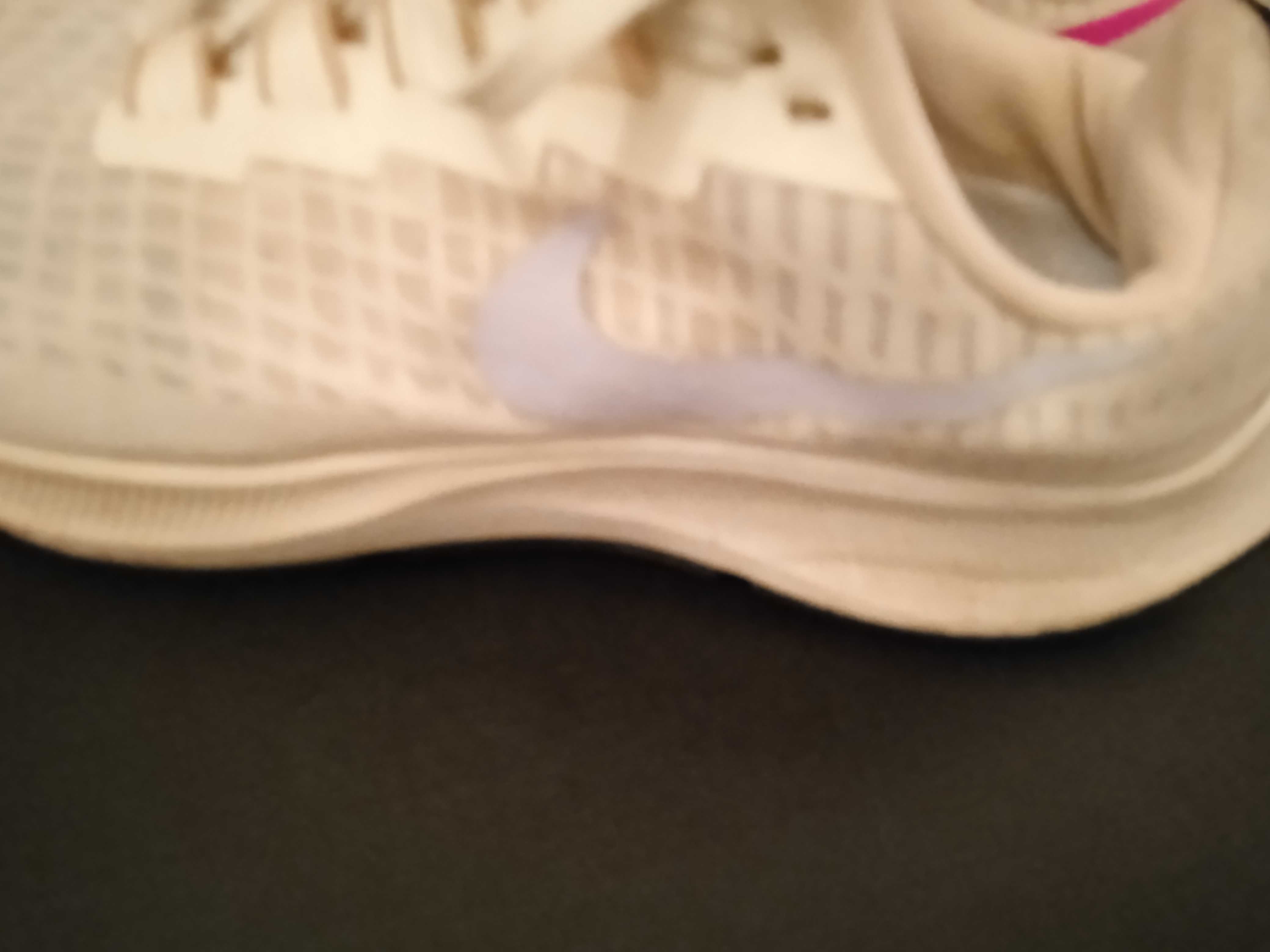 Nike Zoom Pegasus