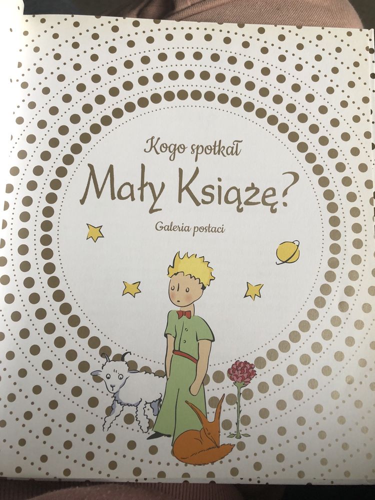 Kogo spotkał Mały Książę?