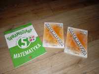 Korepetycje z matematyki kl 5-6
