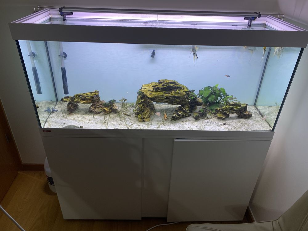 Aquario EHEIM vivalineLED+ 240 Conjunto