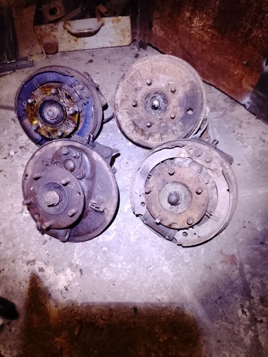 Редуктор луаз, волинянка