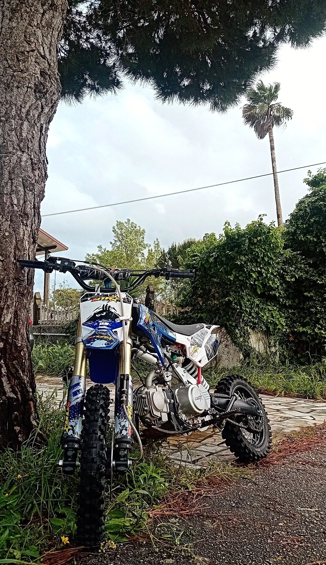 vendo pit bike 125 xz2 mtr (mota impecável e de 20221)