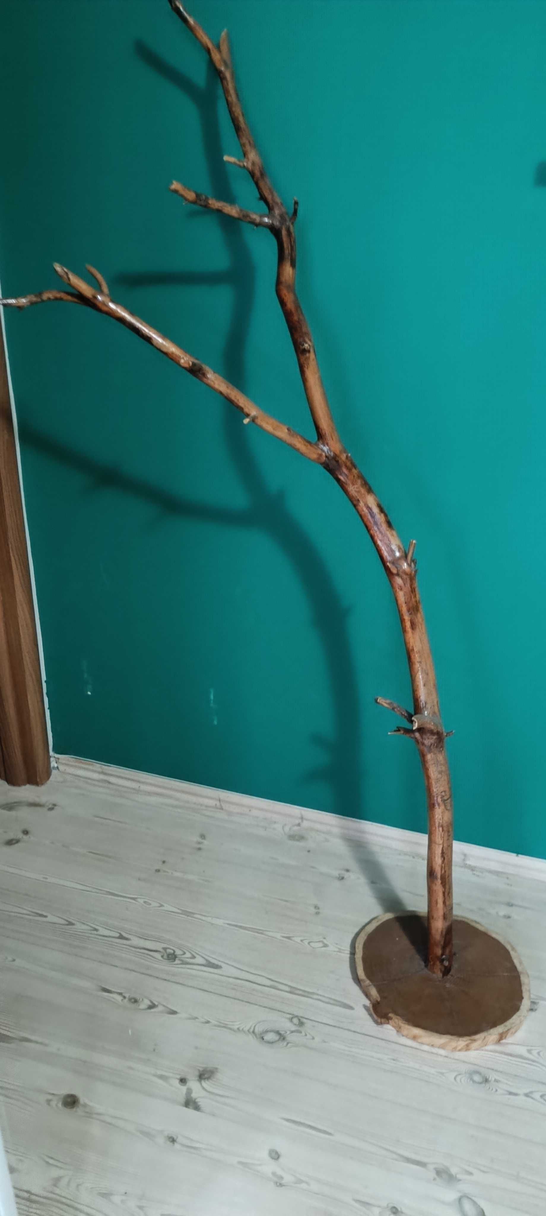 Konar, baza pod lampe