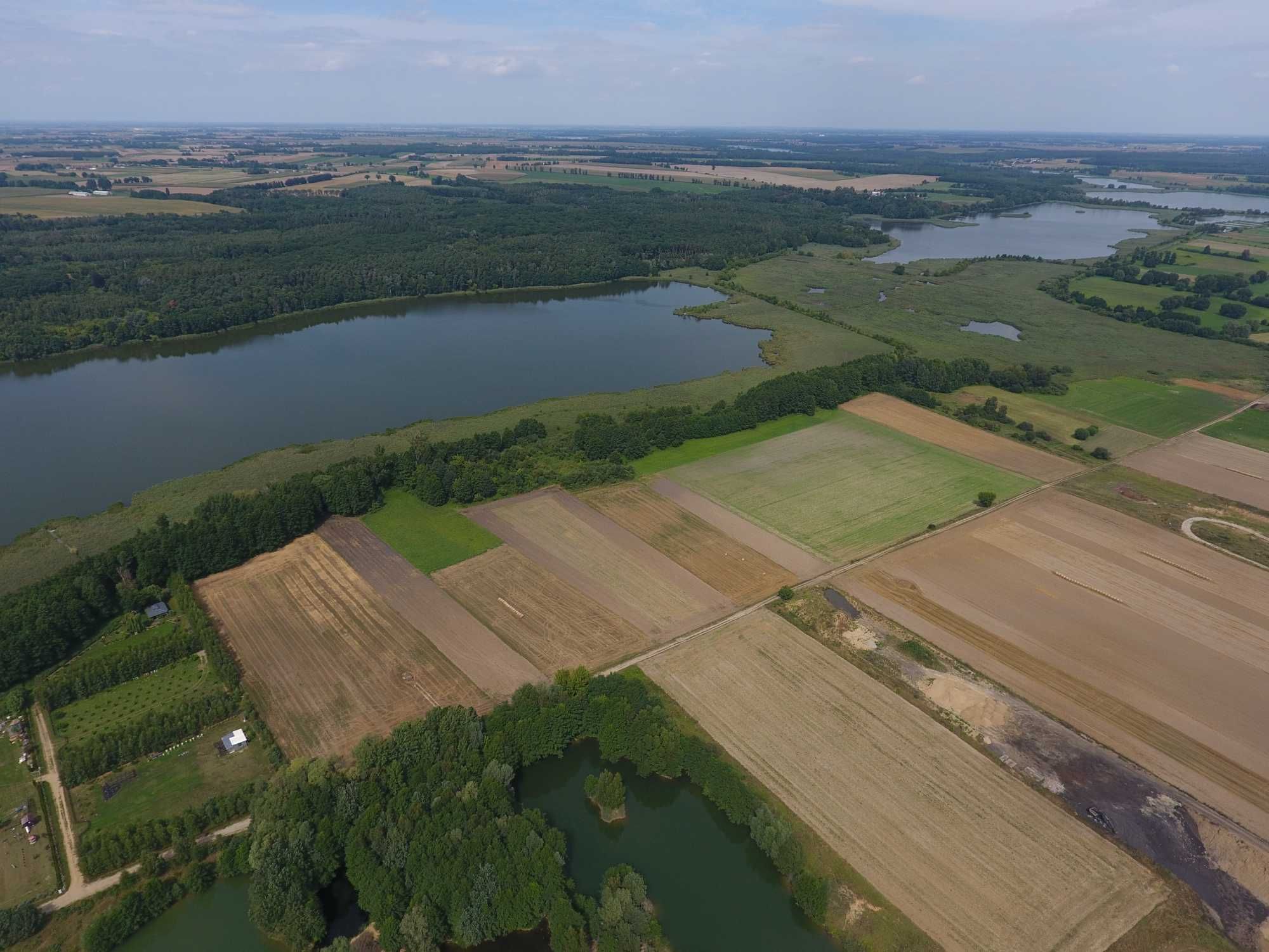 Sprzedam działkę w lesie 9,8 hektara