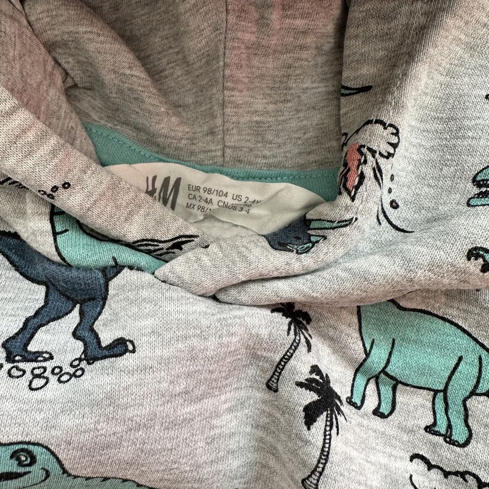 H&M 98/104cm bluza chłopięca dinozaury szara kaptur