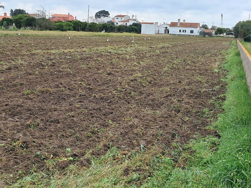 Terreno totalmente Urbano