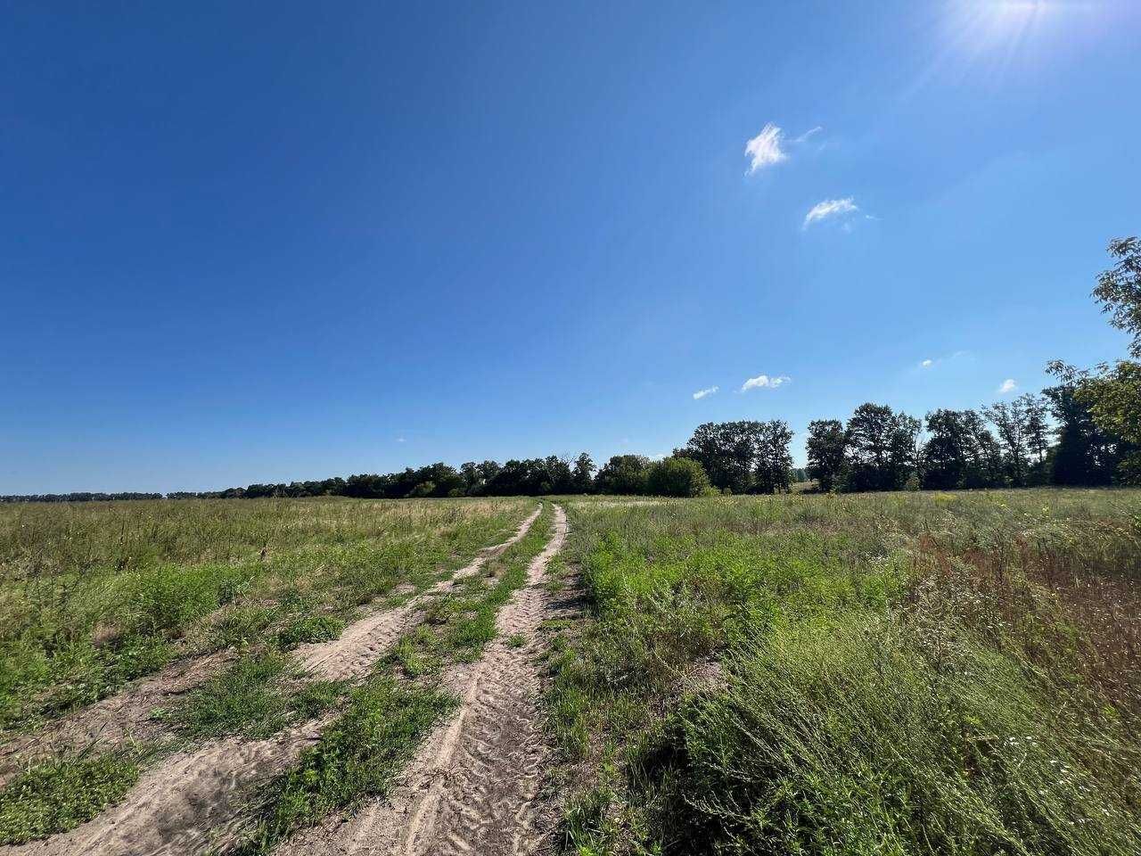 Продаж земельної ділянки 71 сотка