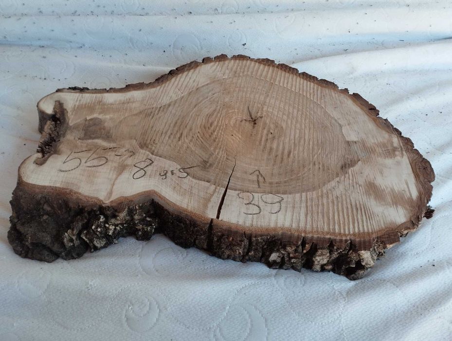 Plaster drewna Piękny Solidny Suchy Orzech DIY Wybór sztuki Hit 2025