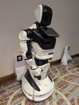 PromoBot interaktywny robot wynajem