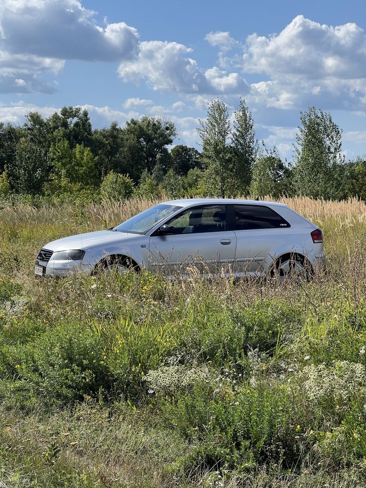 Продам Audi A3 8P 2.0 tdi автомат