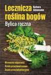 Lecznicza roślina bogów. Bylica roczna. Biały Wiatr