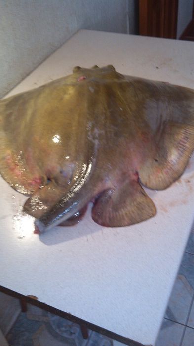 Терміновий продаж або обмін на авто або мікроавтобус  с.Куцуруб.