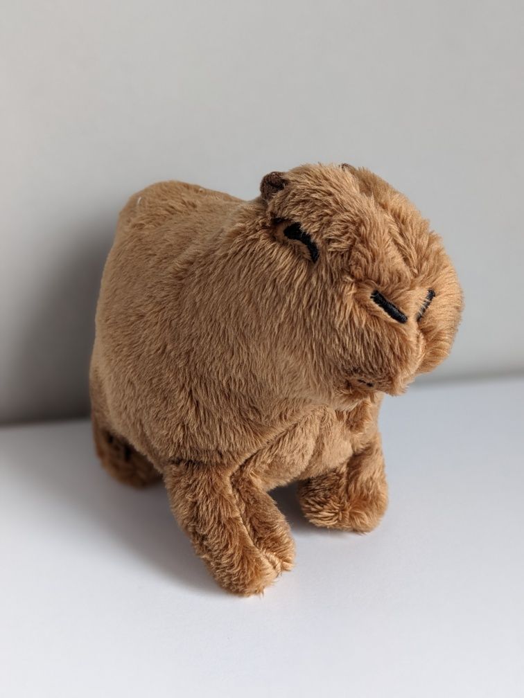 Capybara. Капібара. Капибара іграшка