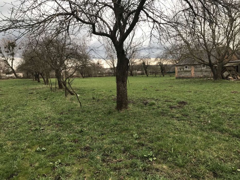 Продам Будинок  на 40 сот.землі !