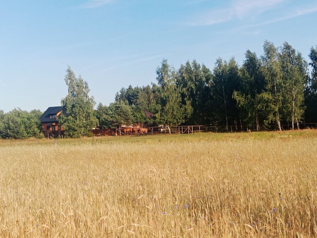 Sprzedam działki rekreacyjne - idealne miejsce na wypoczynek !