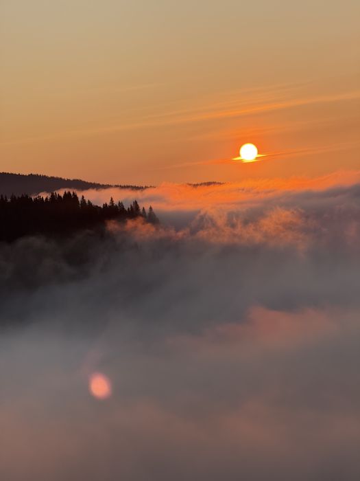 Прокат квадроциклів Буковель