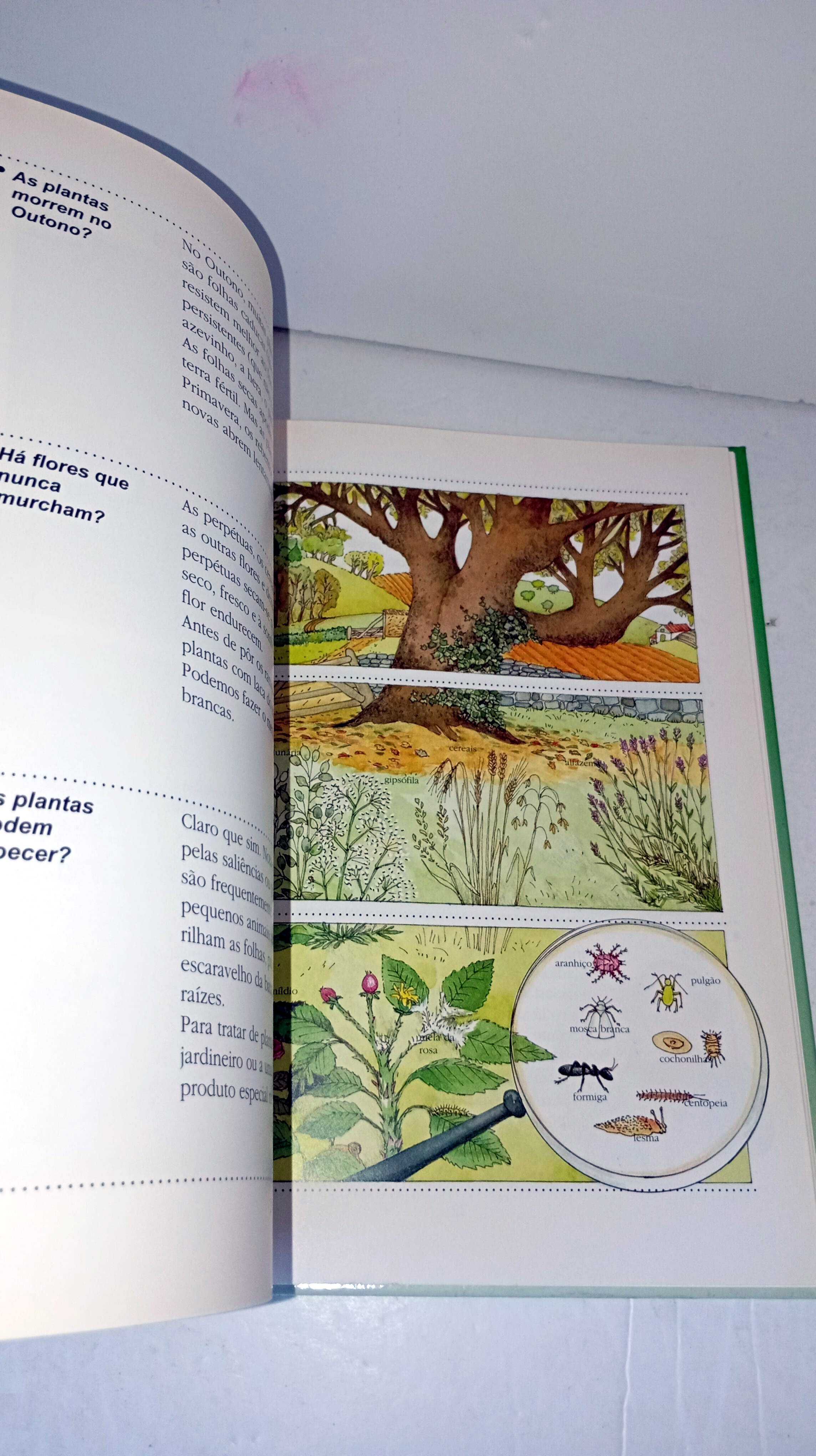 O Jardim dos Pequeninos