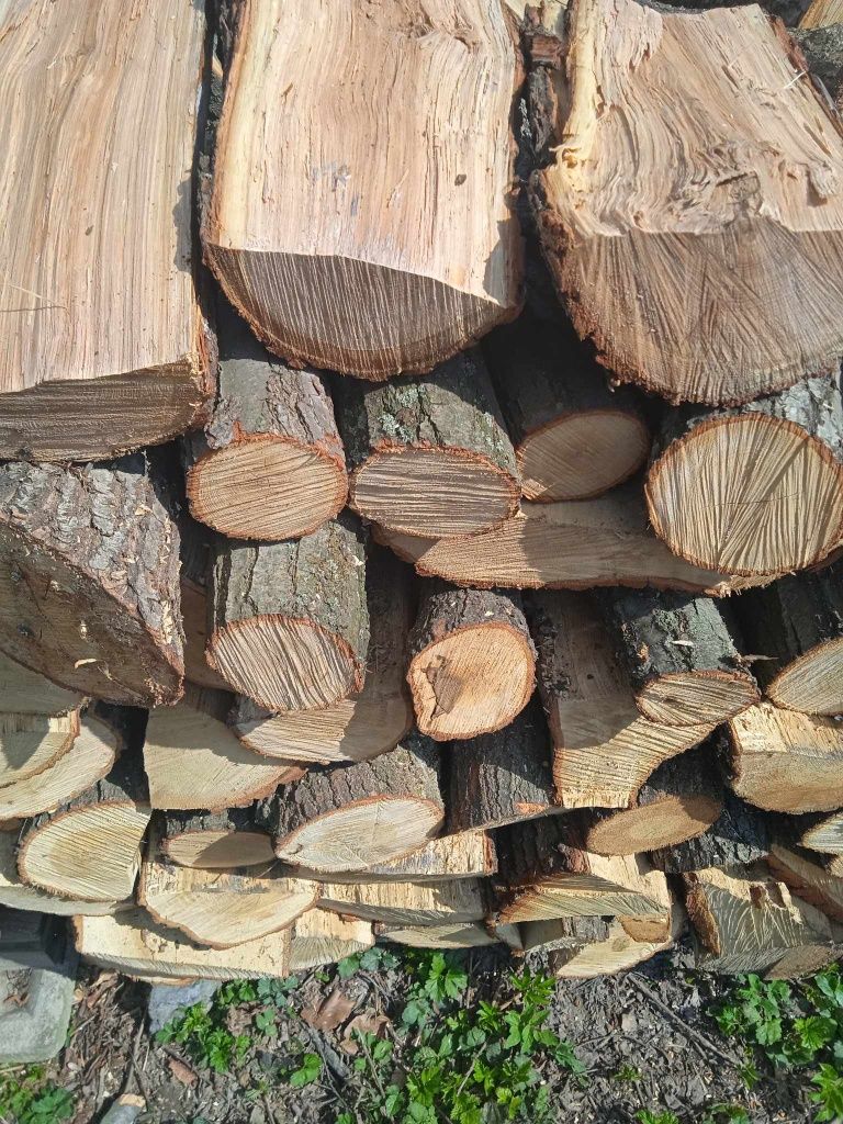 Drewno opałowe - kominkowe