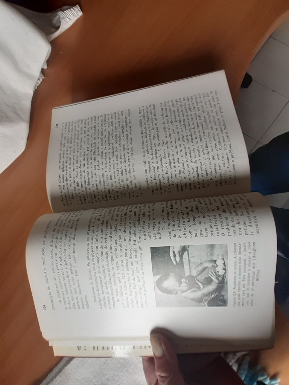 Livro Introdução À Psicologia