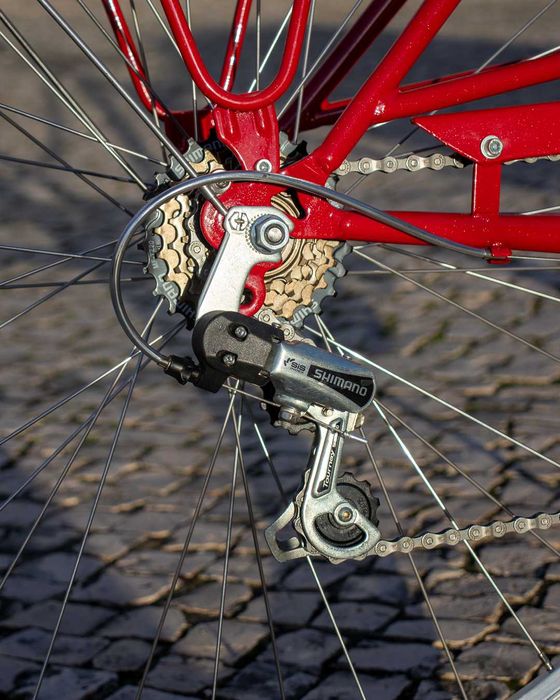 Bicicleta Cidade Brisa Bordeaux Customizada