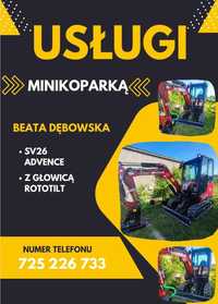 Minikoparka Yanmar SV 26 Advance, głowica uchylono-obrotowa Steelwirst