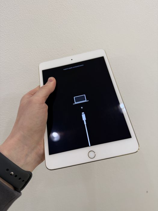 Ipad mini 4 a 1538 на деталі або відновлення.
