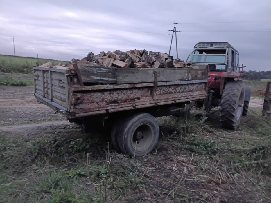 Drzewo olcha opał