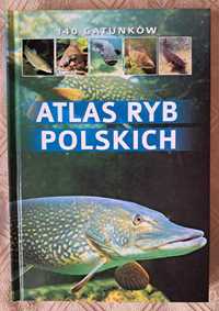 Atlas ryb polskich. 140 gatunków - Bogdan Wziątek