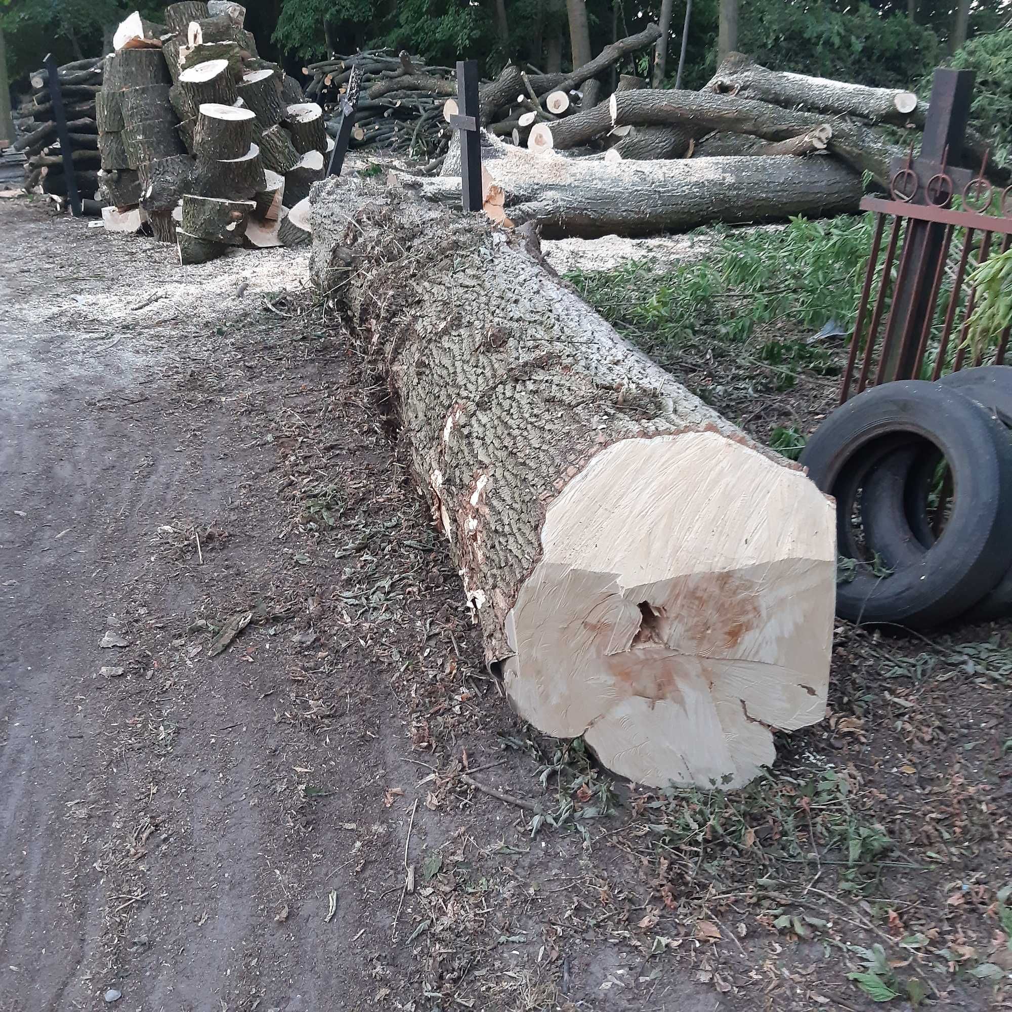 Drzewo opałowe jawor