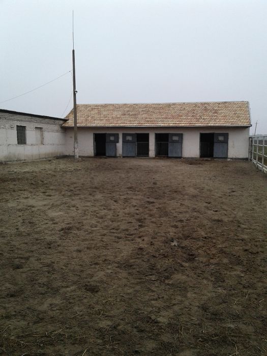 Продам отдельностоящую животноводческую ферму в Криворожском районе