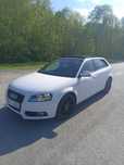 Audi A3 8P 2011 2.0 TDI