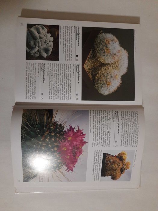 Encyklopedia kaktusów Rudolf Subik, Libor Kunte