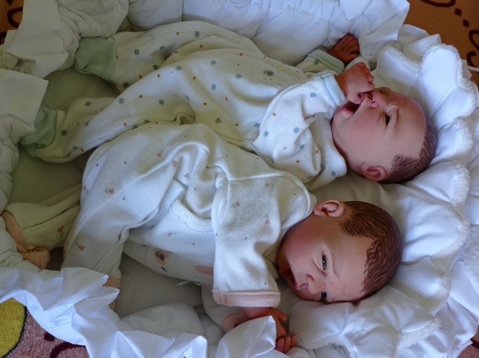 Lale kolekcjonerskie odrodzone jak reborn WYPRZEDAŻ
