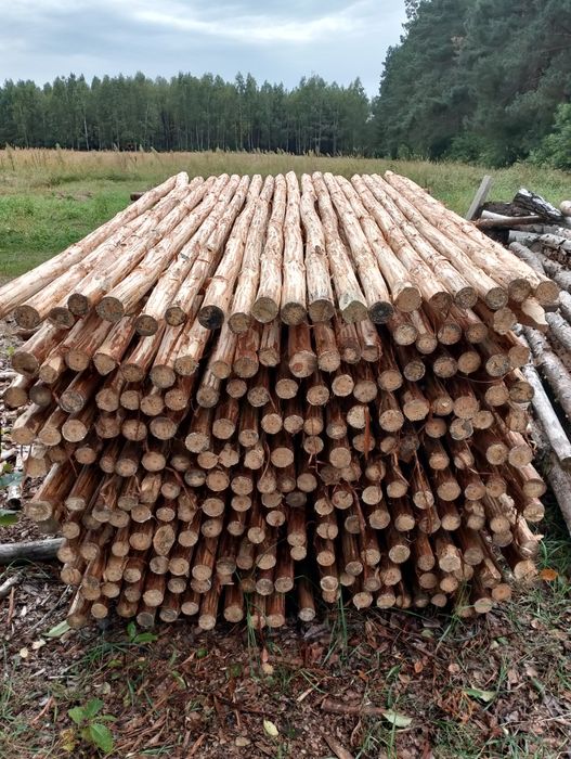 Paliki do drzewek owocowych